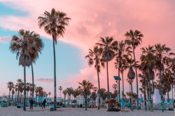 Pink cloud sunset sky in Venice Beach, Los Angeles.